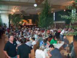 Dünnelefest 2011