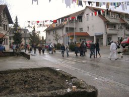 Narrentreffen