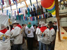 Narrentreffen