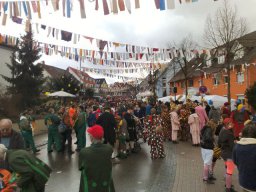 Narrentreffen