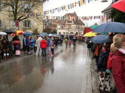 Narrentreffen