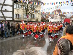 Narrentreffen