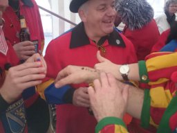 Narrentreffen Dingelsdorf