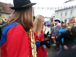 Narrentreffen Dingelsdorf