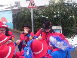 Narrentreffen Dingelsdorf