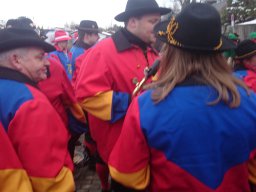Narrentreffen Dingelsdorf