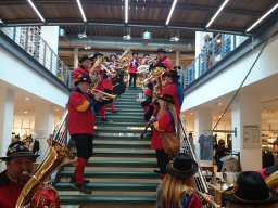 Umzug Singen