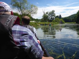 Jahresausflug Donautal