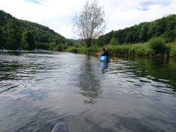 Jahresausflug Donautal