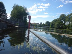 Jahresausflug Donautal