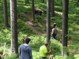 Jahresausflug Schwarzwald