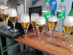 Fasnet